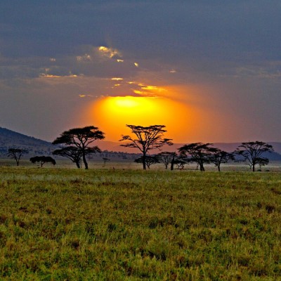 1920 x 1080 HD Wallpapers 1979